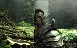 The-elder-scrolls-v-skyrim-20110415033053299